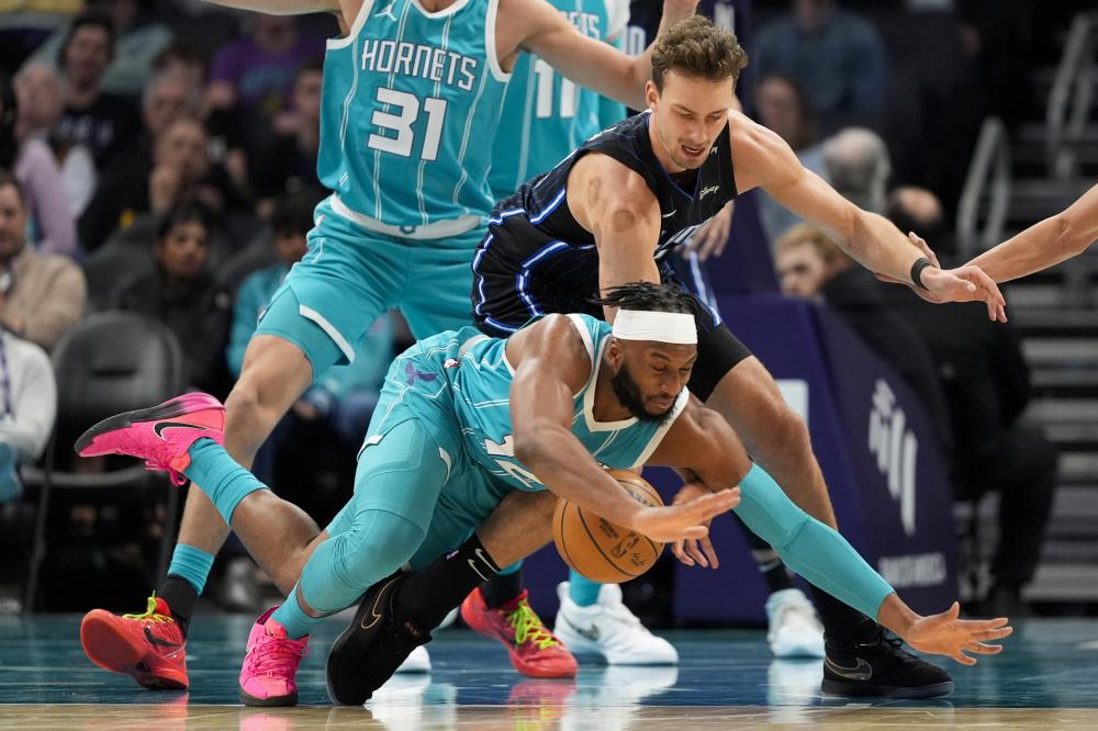 多样性的进 多样性的进